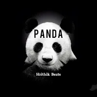Hrithik Mehra — Panda — обложка